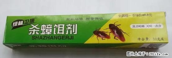 【紧急提醒】如果有“防疫站工作人员”上门灭杀蟑螂，请立刻报警 - 灌水专区 - 枣庄生活社区 - 枣庄28生活网 zaozhuang.28life.net