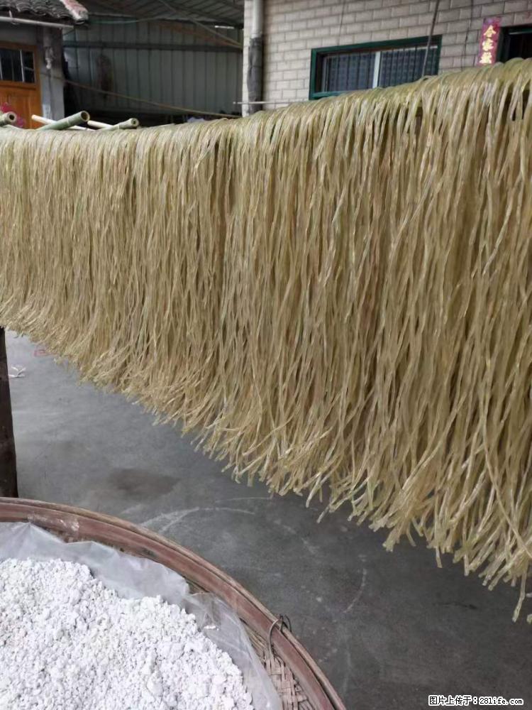 【灌阳正宗红薯粉】美女家里自己做的,干净卫生,假一赔十,价格合理,抢购电话:13737312895 - 美食天地 - 枣庄生活社区 - 枣庄28生活网 zaozhuang.28life.net