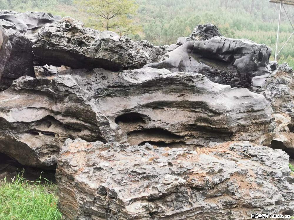 风景石、假山石大量有货，有需要的欢迎联系 - 新手上路 - 枣庄生活社区 - 枣庄28生活网 zaozhuang.28life.net
