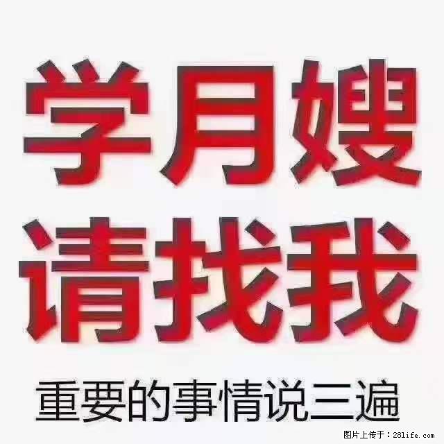 为什么要学习月嫂，育婴师？ - 新手上路 - 枣庄生活社区 - 枣庄28生活网 zaozhuang.28life.net