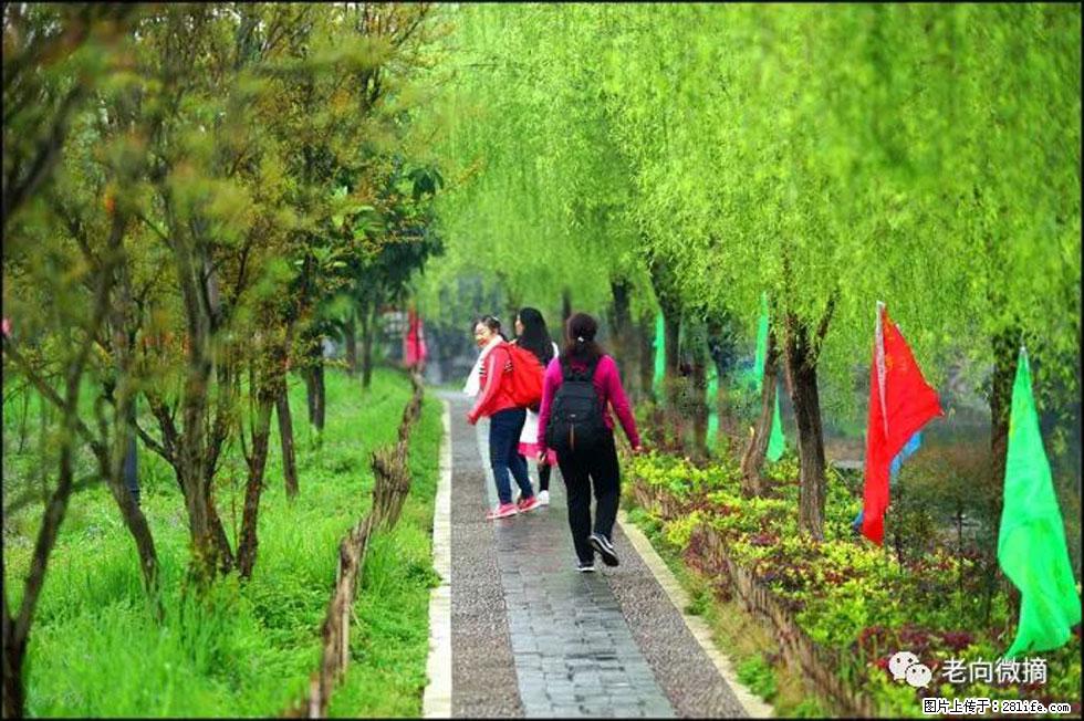 【春天，广西桂林灌阳县向您发出邀请！】江口老街又逢春 - 游山玩水 - 枣庄生活社区 - 枣庄28生活网 zaozhuang.28life.net