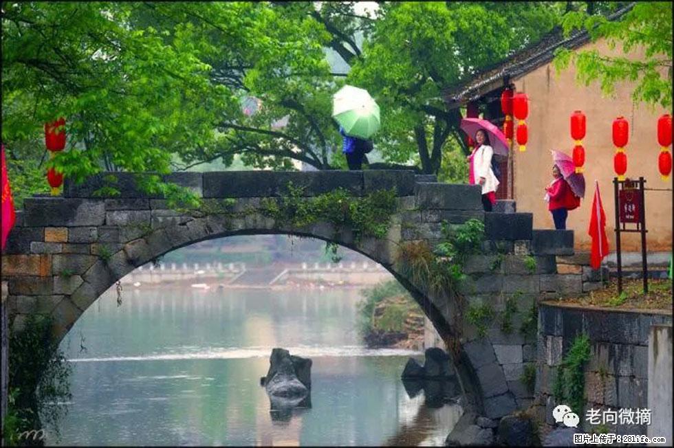 【春天，广西桂林灌阳县向您发出邀请！】江口老街又逢春 - 游山玩水 - 枣庄生活社区 - 枣庄28生活网 zaozhuang.28life.net
