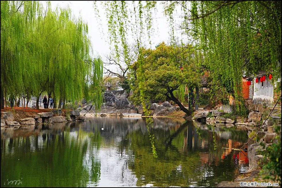 【春天，广西桂林灌阳县向您发出邀请！】江口老街又逢春 - 游山玩水 - 枣庄生活社区 - 枣庄28生活网 zaozhuang.28life.net