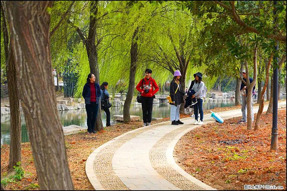 【春天，广西桂林灌阳县向您发出邀请！】江口老街又逢春 - 游山玩水 - 枣庄生活社区 - 枣庄28生活网 zaozhuang.28life.net