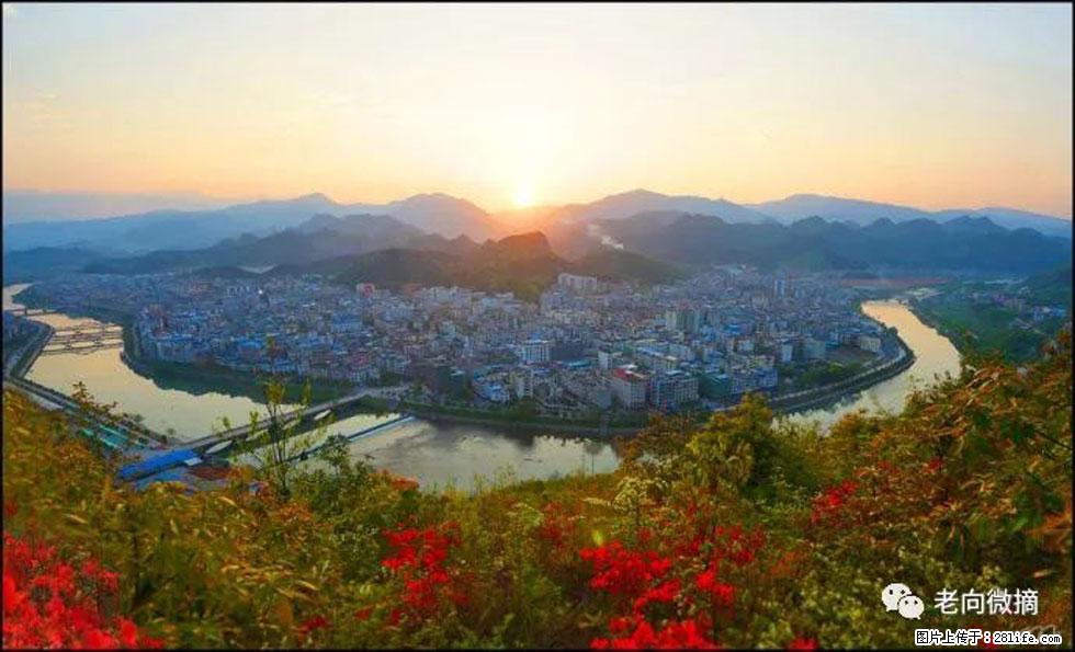 【春天，广西桂林灌阳县向您发出邀请！】登麒麟山，相约映山红 - 游山玩水 - 枣庄生活社区 - 枣庄28生活网 zaozhuang.28life.net
