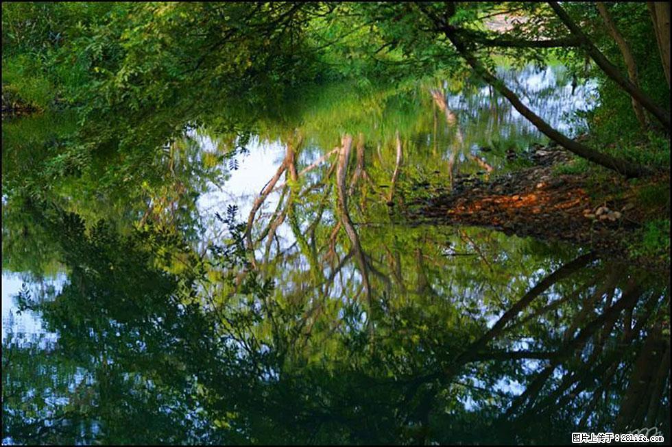 【春天，广西桂林灌阳县向您发出邀请！】熊家寨湿地公园 - 游山玩水 - 枣庄生活社区 - 枣庄28生活网 zaozhuang.28life.net
