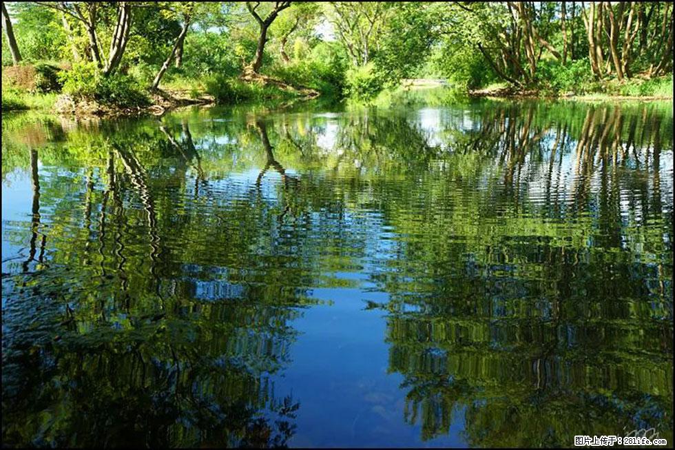 【春天，广西桂林灌阳县向您发出邀请！】熊家寨湿地公园 - 游山玩水 - 枣庄生活社区 - 枣庄28生活网 zaozhuang.28life.net