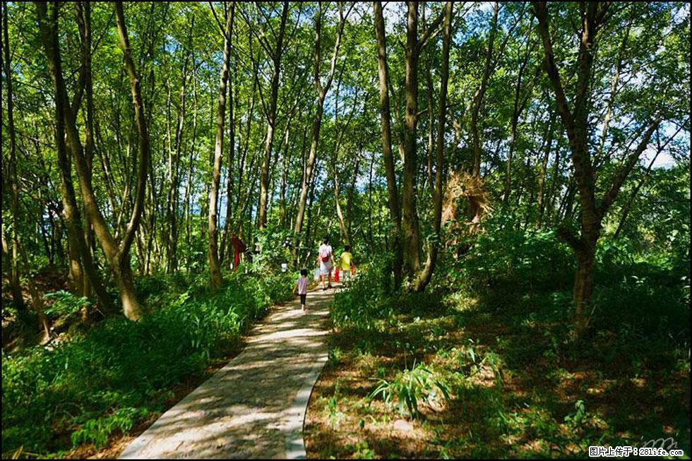 【春天，广西桂林灌阳县向您发出邀请！】熊家寨湿地公园 - 游山玩水 - 枣庄生活社区 - 枣庄28生活网 zaozhuang.28life.net