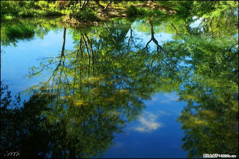 【春天，广西桂林灌阳县向您发出邀请！】熊家寨湿地公园 - 游山玩水 - 枣庄生活社区 - 枣庄28生活网 zaozhuang.28life.net