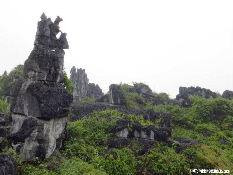 桂林旅游名城景点：灌阳文市石林 - 游山玩水 - 枣庄生活社区 - 枣庄28生活网 zaozhuang.28life.net