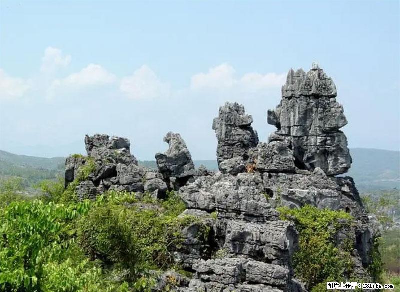 桂林旅游名城景点：灌阳文市石林 - 游山玩水 - 枣庄生活社区 - 枣庄28生活网 zaozhuang.28life.net