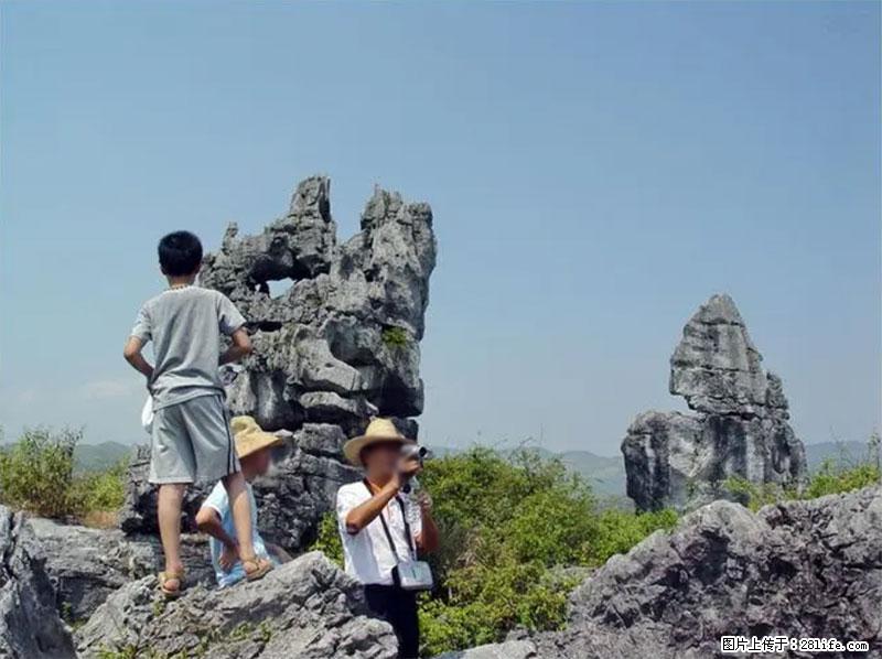 桂林旅游名城景点：灌阳文市石林 - 游山玩水 - 枣庄生活社区 - 枣庄28生活网 zaozhuang.28life.net