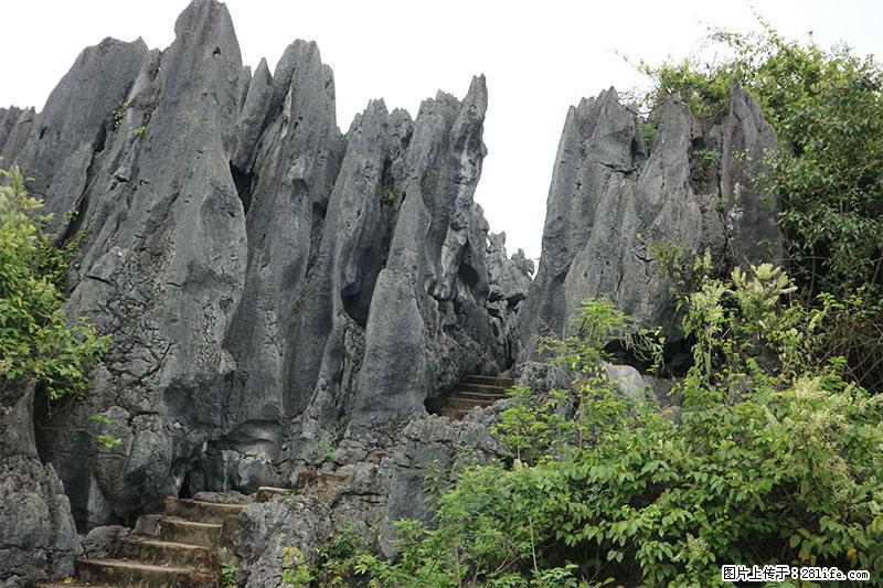 桂林旅游名城景点：灌阳文市石林 - 游山玩水 - 枣庄生活社区 - 枣庄28生活网 zaozhuang.28life.net