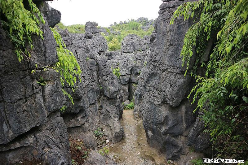 桂林旅游名城景点：灌阳文市石林 - 游山玩水 - 枣庄生活社区 - 枣庄28生活网 zaozhuang.28life.net