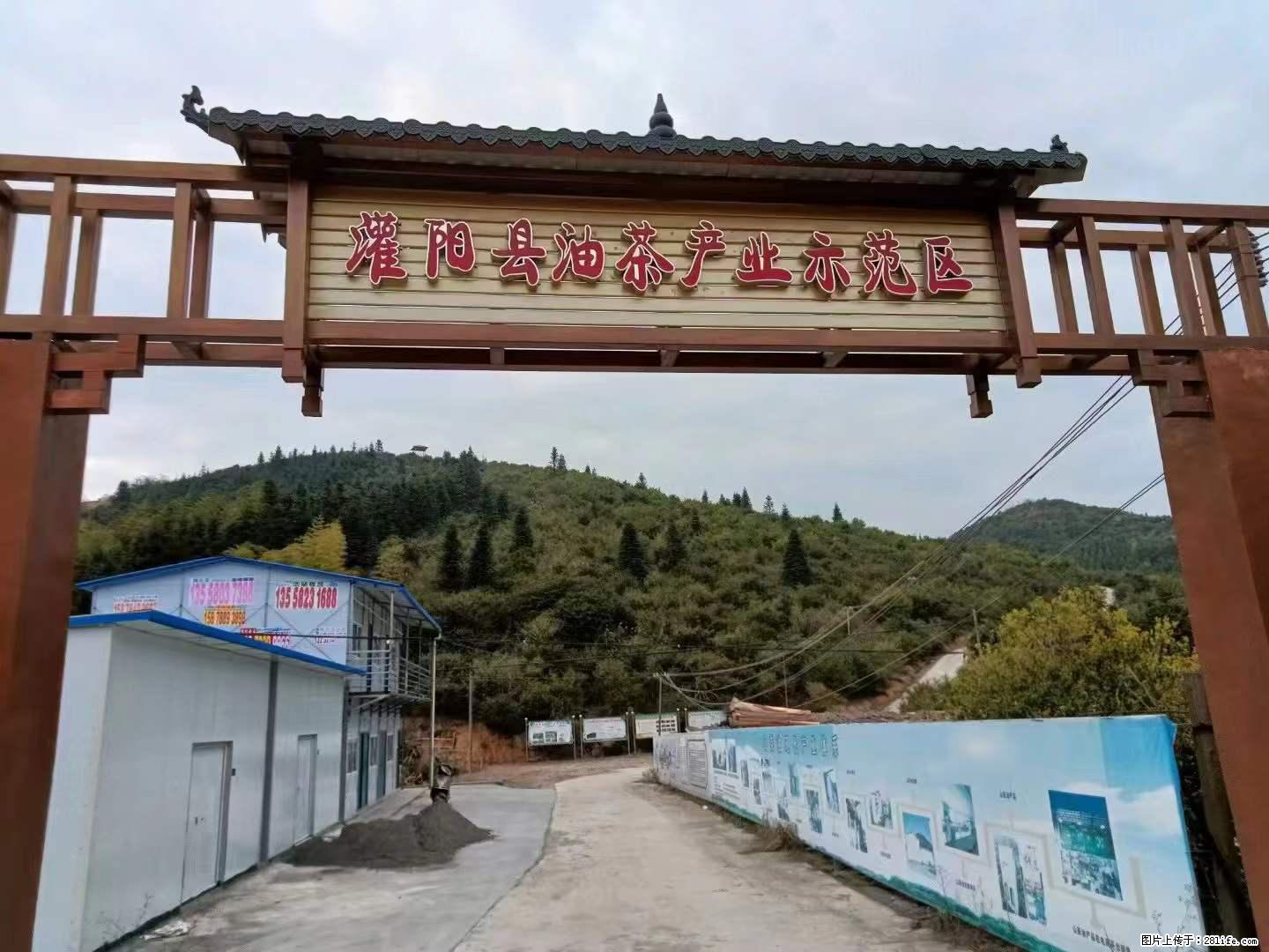 【灌阳县油茶产业示范区】一个有着充实的精神生活的人，对待身外之物自会有一种淡泊的态度 - 土特产 - 饮食特产 - 枣庄分类信息 - 枣庄28生活网 zaozhuang.28life.net