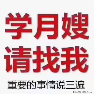 为什么要学习月嫂，育婴师？ - 枣庄28生活网 zaozhuang.28life.net