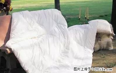 被子有异味?只要这样做,比晒太阳还强100倍! - 家居生活 - 枣庄生活社区 - 枣庄28生活网 zaozhuang.28life.net