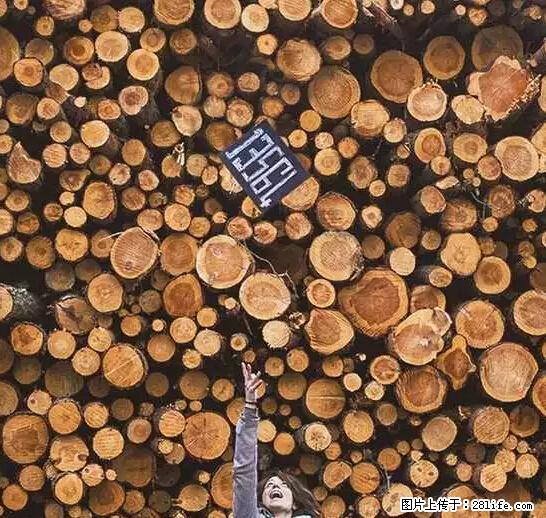 辞掉工作周游世界?现在他们在洗厕所…… - 游山玩水 - 枣庄生活社区 - 枣庄28生活网 zaozhuang.28life.net