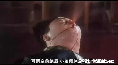 笑癫了！一女的怀孕三年未生，他终于忍不住了... - 娱乐八卦 - 枣庄生活社区 - 枣庄28生活网 zaozhuang.28life.net