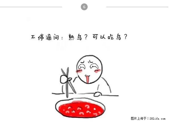 千万不要和这9种哈卵一起吃火锅！ - 美食天地 - 枣庄生活社区 - 枣庄28生活网 zaozhuang.28life.net