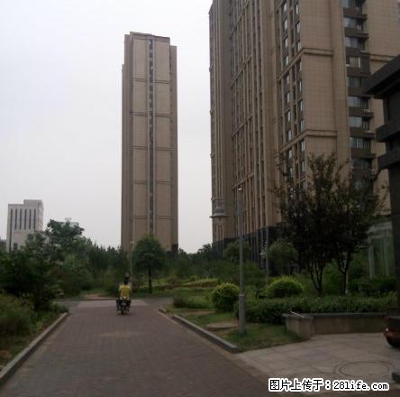 文化西路 未来城9层电梯房1室1厅67平方米精装修水电煤暖 - 房屋出租 - 房屋租售 - 枣庄分类信息 - 枣庄28生活网 zaozhuang.28life.net