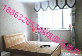 凯润花园 着急出租 中装三室 家电家具齐全 随租随住 - 枣庄28生活网 zaozhuang.28life.net