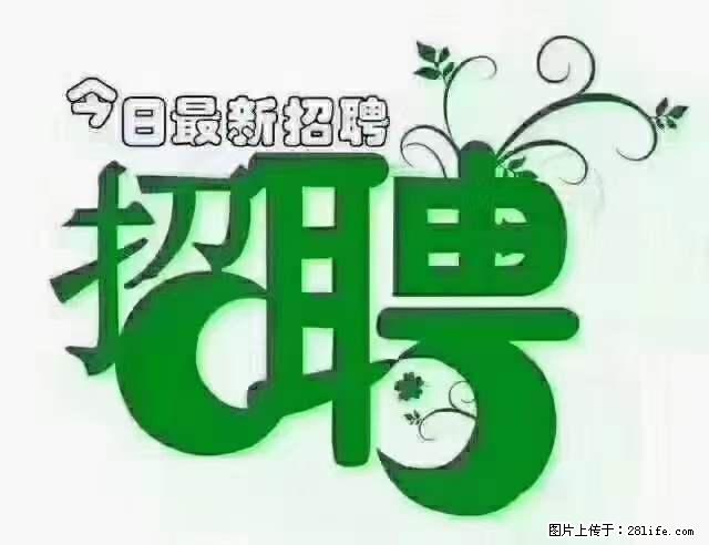 【招聘】产康师 - 职场交流 - 枣庄生活社区 - 枣庄28生活网 zaozhuang.28life.net