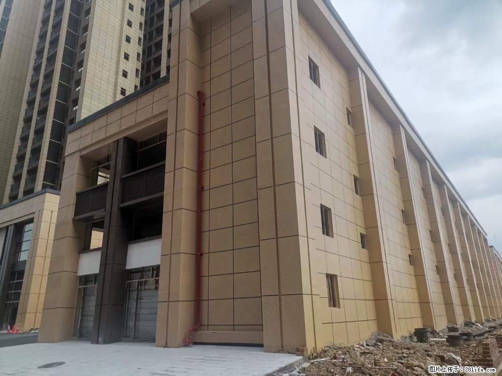 【广西三象建筑安装工程有限公司】外墙涂料工程 - 新手上路 - 枣庄生活社区 - 枣庄28生活网 zaozhuang.28life.net