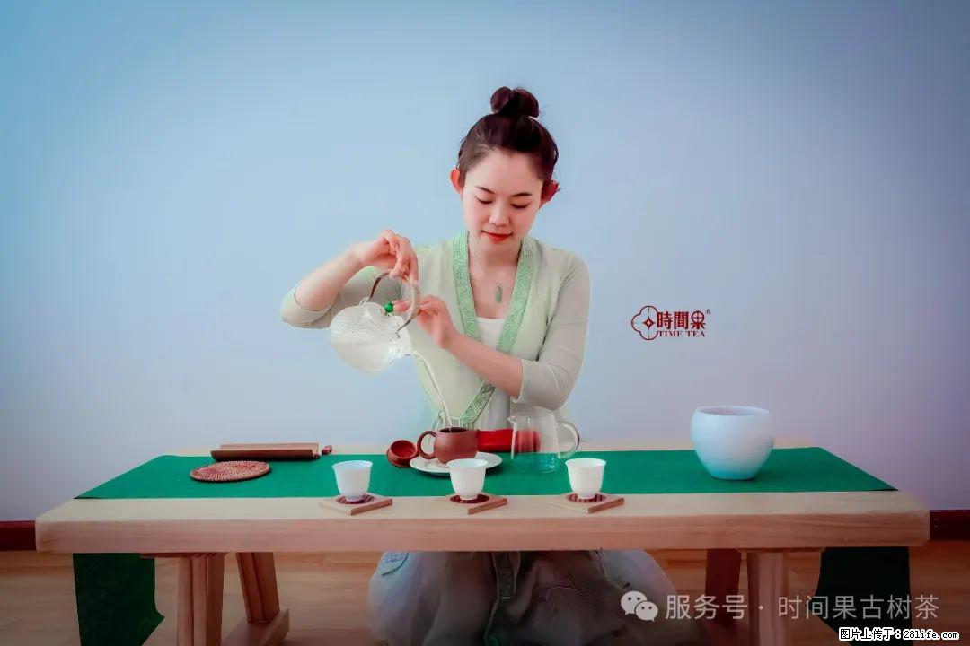 时间果百年古树龙珠普洱生茶 - 购物交流 - 枣庄生活社区 - 枣庄28生活网 zaozhuang.28life.net