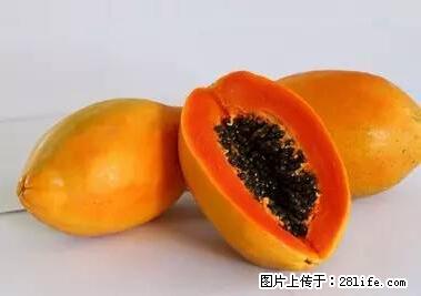 晕车、脚气、牙齿变黄、皮肤粗糙？学会这些三分钟搞定！ - 枣庄生活资讯 - 枣庄28生活网 zaozhuang.28life.net
