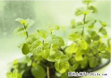 晕车、脚气、牙齿变黄、皮肤粗糙？学会这些三分钟搞定！ - 枣庄生活资讯 - 枣庄28生活网 zaozhuang.28life.net