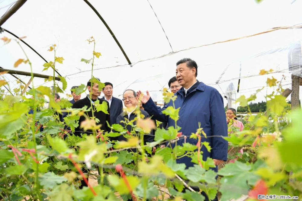 习近平赴广西考察调研 - 枣庄生活资讯 - 枣庄28生活网 zaozhuang.28life.net