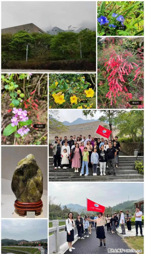 “粤灌文化 美好生活”油茶文化主题活动在广东深圳成功举办 - 枣庄生活资讯 - 枣庄28生活网 zaozhuang.28life.net