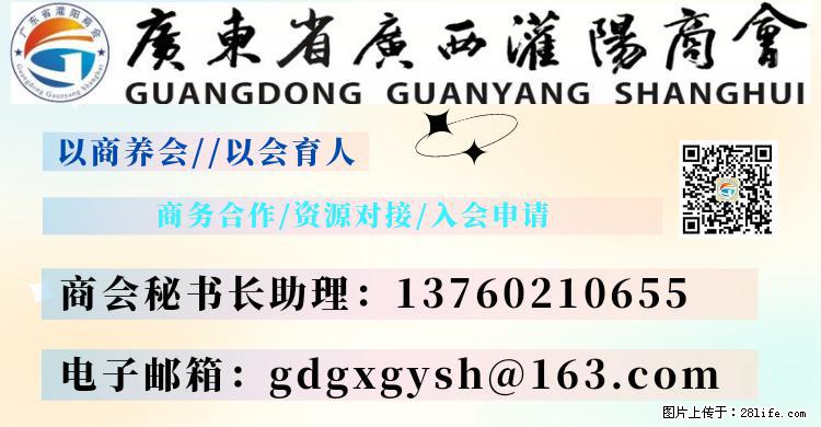 “粤灌文化 美好生活”油茶文化主题活动在广东深圳成功举办 - 枣庄生活资讯 - 枣庄28生活网 zaozhuang.28life.net
