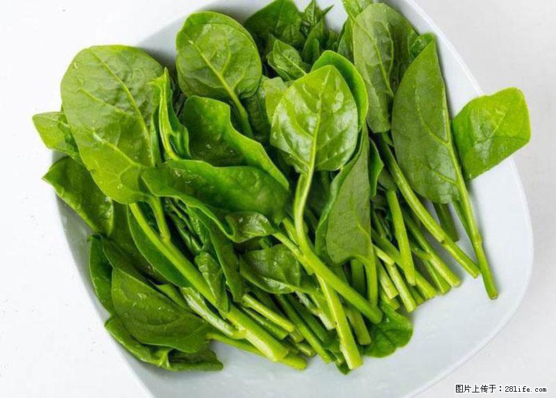 这些蔬菜是“天然钙片”，这6种被医生重点推荐 - 枣庄生活资讯 - 枣庄28生活网 zaozhuang.28life.net