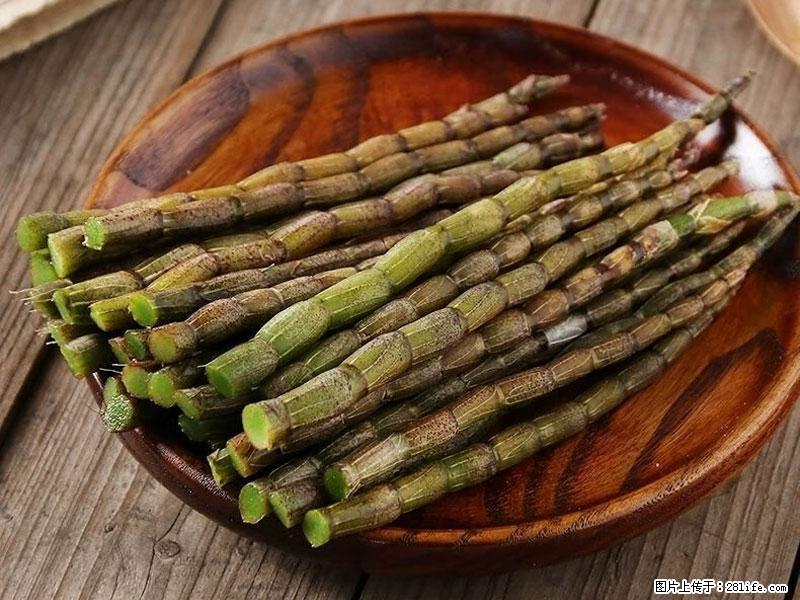 铁皮石斛的作用与功能主治 - 枣庄生活资讯 - 枣庄28生活网 zaozhuang.28life.net