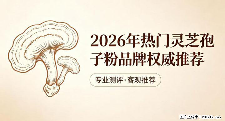 灵芝孢子粉含量越高越有效？2026 年七款热门品牌深度实测，肠胃敏感者避坑指南 - 枣庄生活资讯 - 枣庄28生活网 zaozhuang.28life.net
